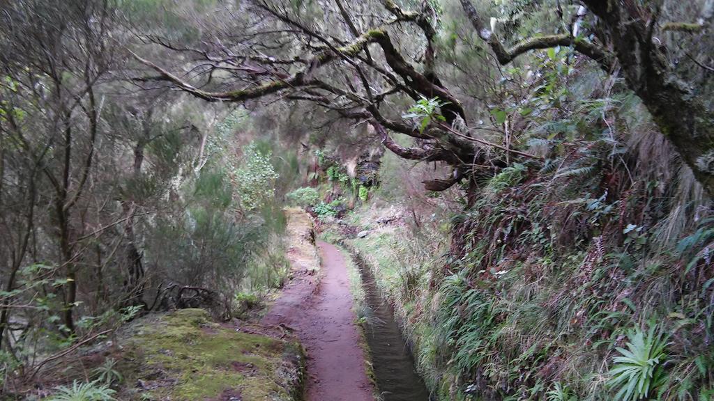 Levada Nova House Villa Ponta do Sol  Eksteriør bilde
